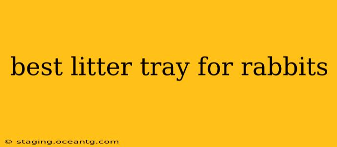 best litter tray for rabbits