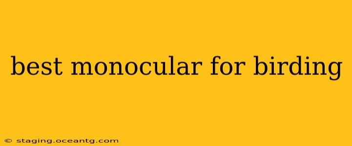 best monocular for birding
