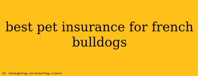 best pet insurance for french bulldogs