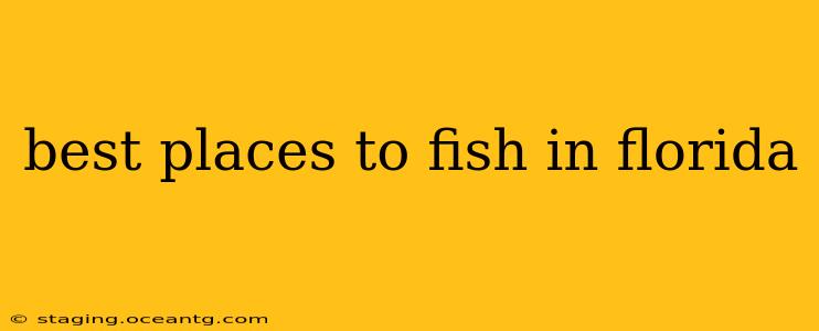 best places to fish in florida