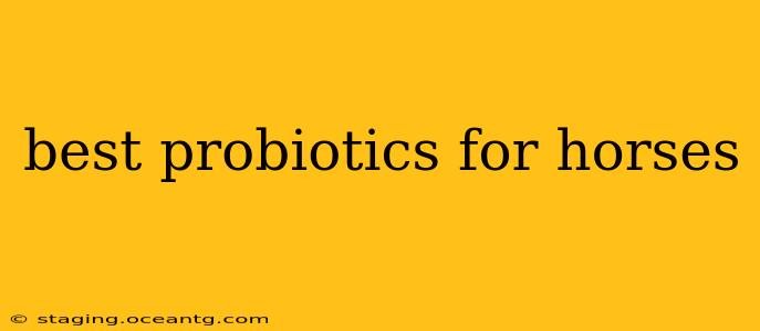 best probiotics for horses