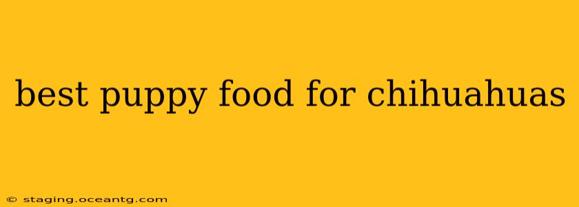 best puppy food for chihuahuas