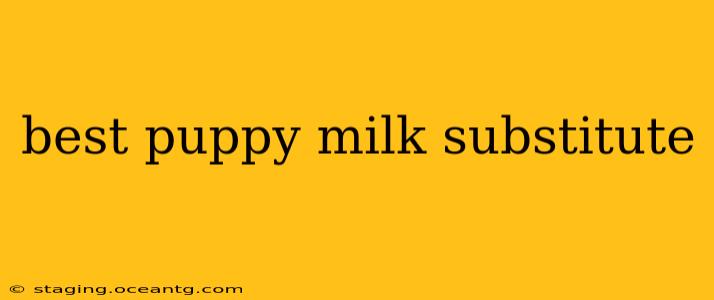 best puppy milk substitute
