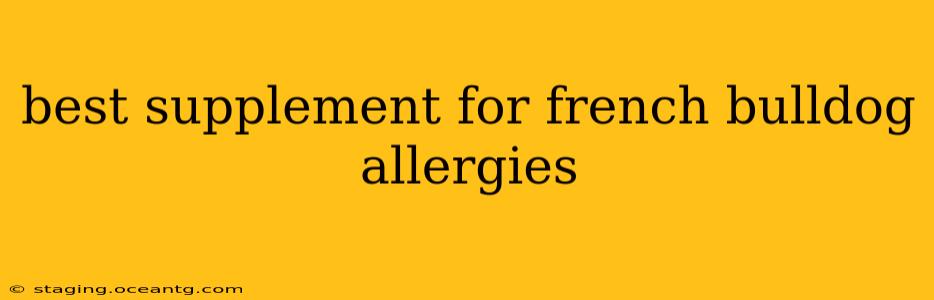 best supplement for french bulldog allergies