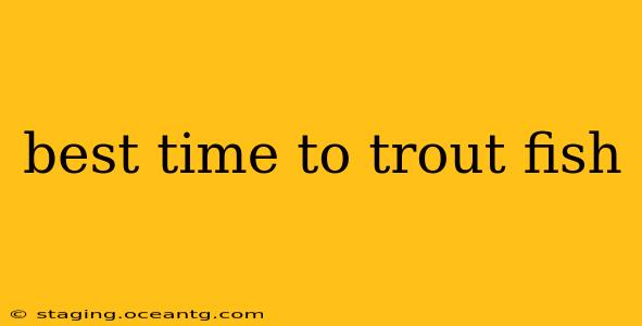 best time to trout fish