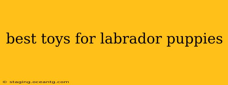 best toys for labrador puppies
