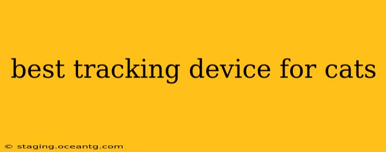 best tracking device for cats