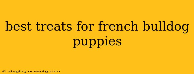 best treats for french bulldog puppies