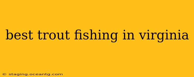 best trout fishing in virginia
