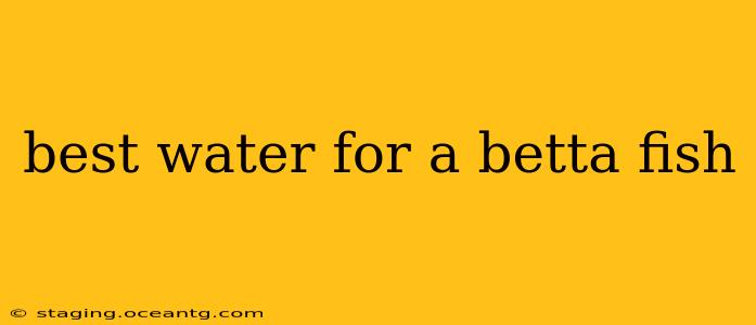 best water for a betta fish