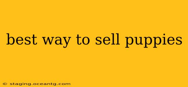 best way to sell puppies