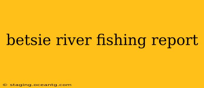 betsie river fishing report