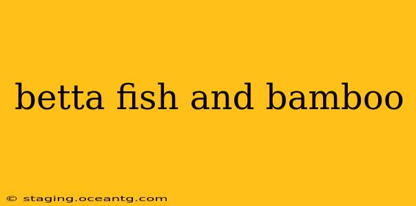 betta fish and bamboo