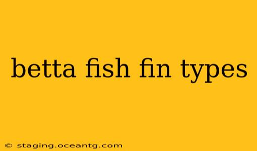 betta fish fin types