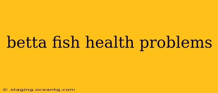 betta fish health problems
