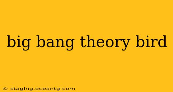 big bang theory bird