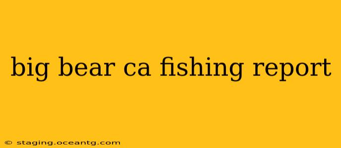 big bear ca fishing report