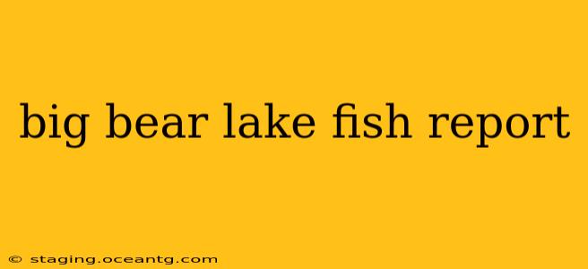 big bear lake fish report