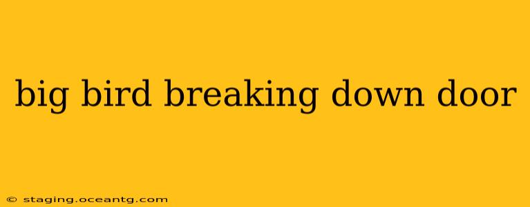 big bird breaking down door