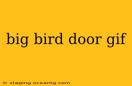 big bird door gif