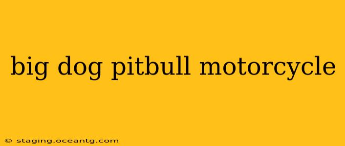 big dog pitbull motorcycle