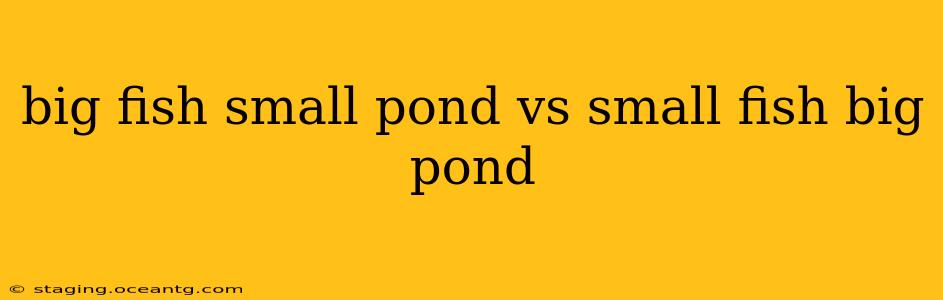 big fish small pond vs small fish big pond