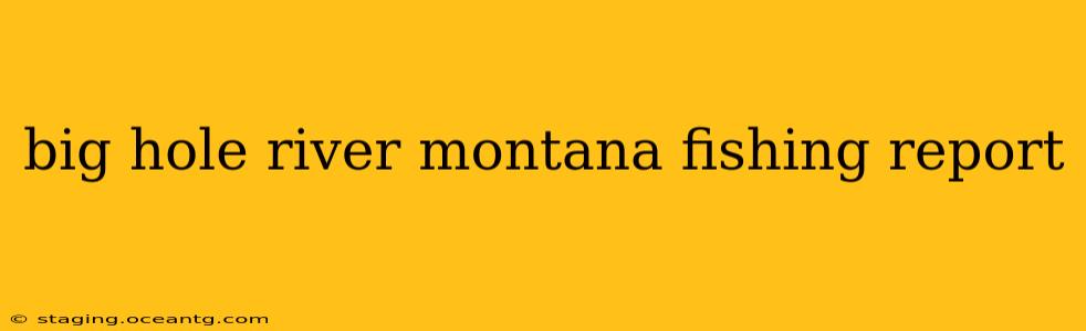 big hole river montana fishing report