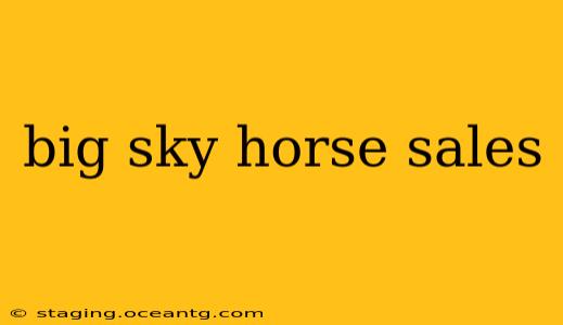 big sky horse sales