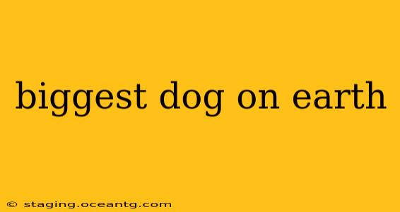 biggest dog on earth
