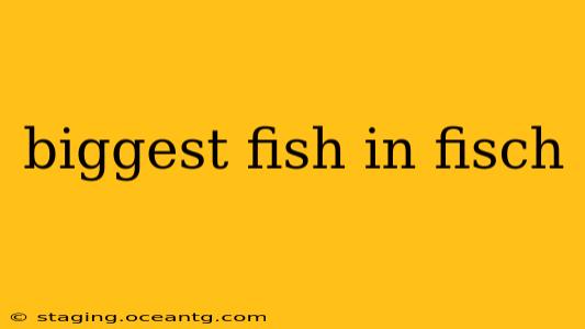 biggest fish in fisch