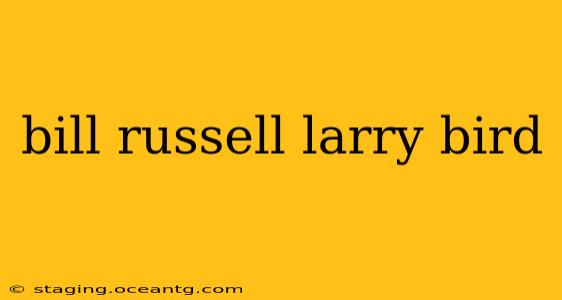 bill russell larry bird