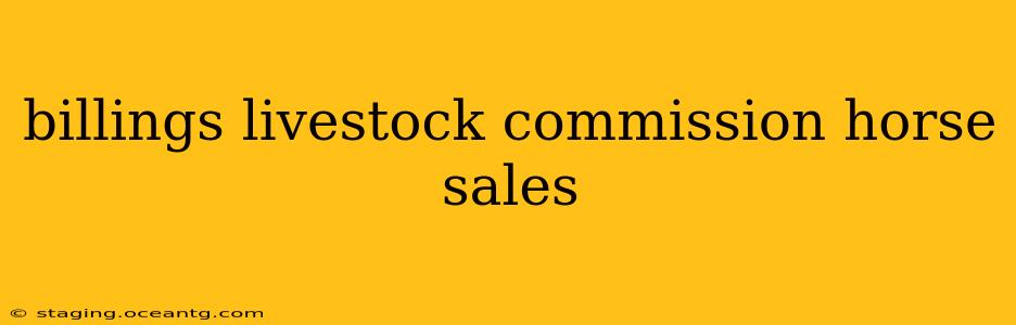 billings livestock commission horse sales