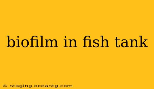 biofilm in fish tank