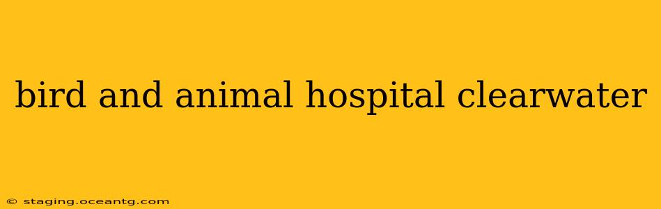 bird and animal hospital clearwater
