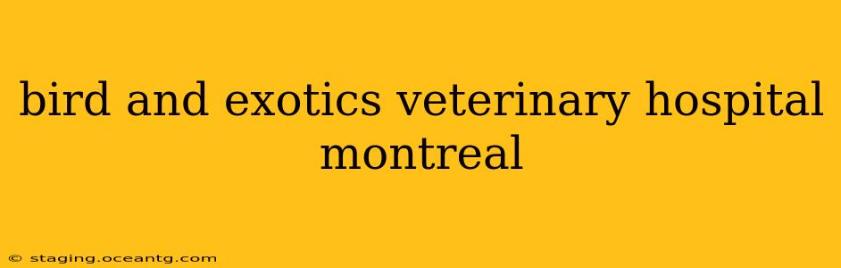 bird and exotics veterinary hospital montreal