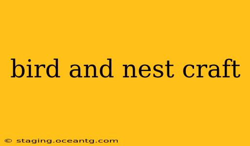 bird and nest craft