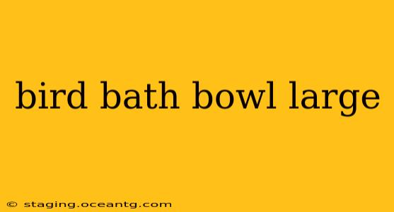 bird bath bowl large