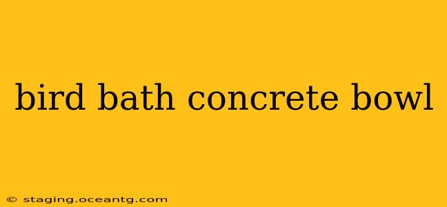 bird bath concrete bowl