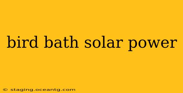 bird bath solar power