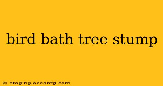 bird bath tree stump