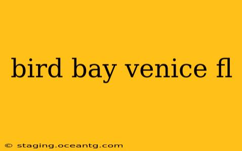 bird bay venice fl