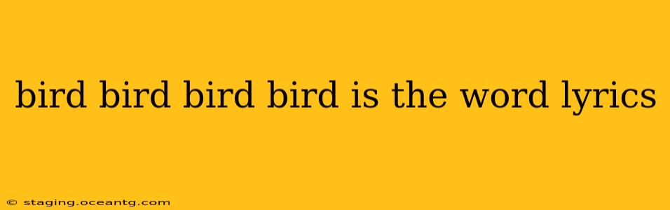 bird bird bird bird is the word lyrics