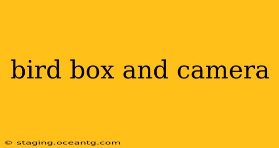 bird box and camera