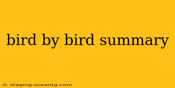 bird by bird summary