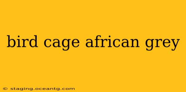 bird cage african grey