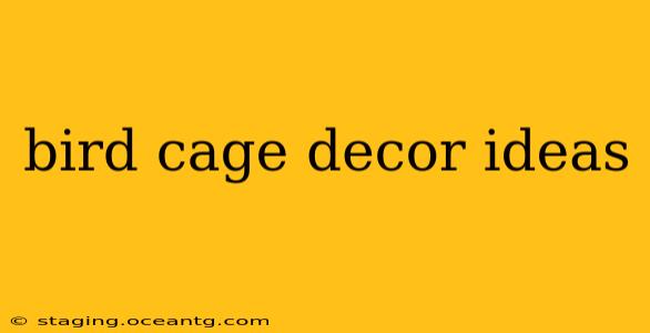 bird cage decor ideas