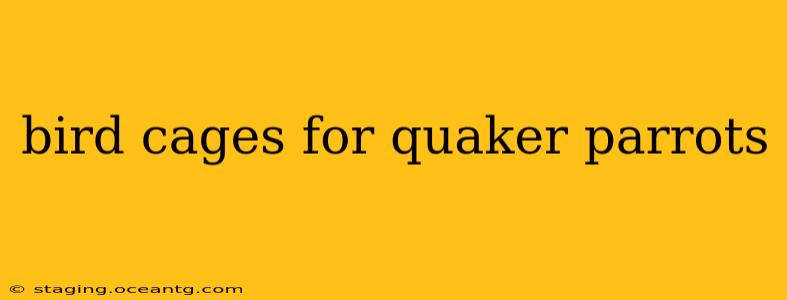 bird cages for quaker parrots
