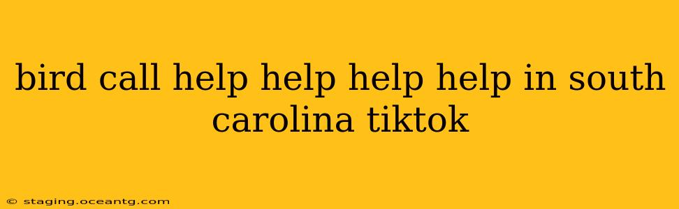 bird call help help help help in south carolina tiktok