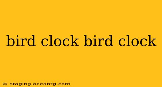 bird clock bird clock