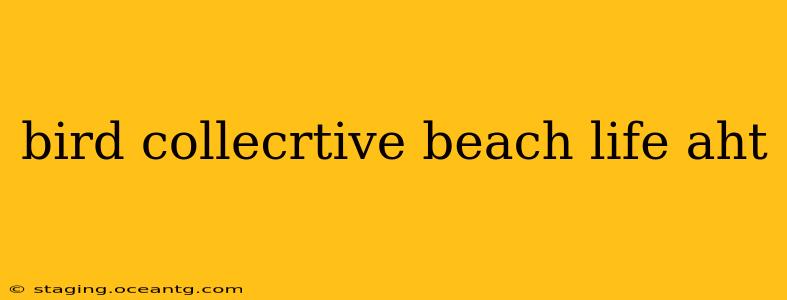 bird collecrtive beach life aht